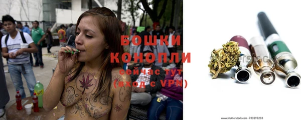бошки Балахна