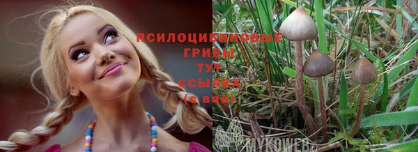 метадон Ростов