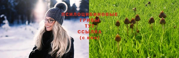 бошки Балахна