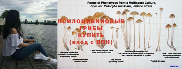 бошки Балахна