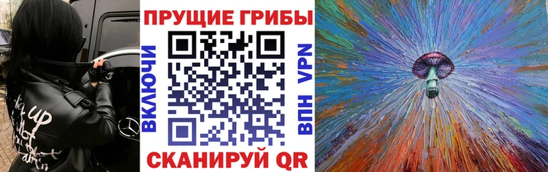 KRAKEN ссылки  Балтийск  Галлюциногенные грибы Psilocybine cubensis  продажа наркотиков 